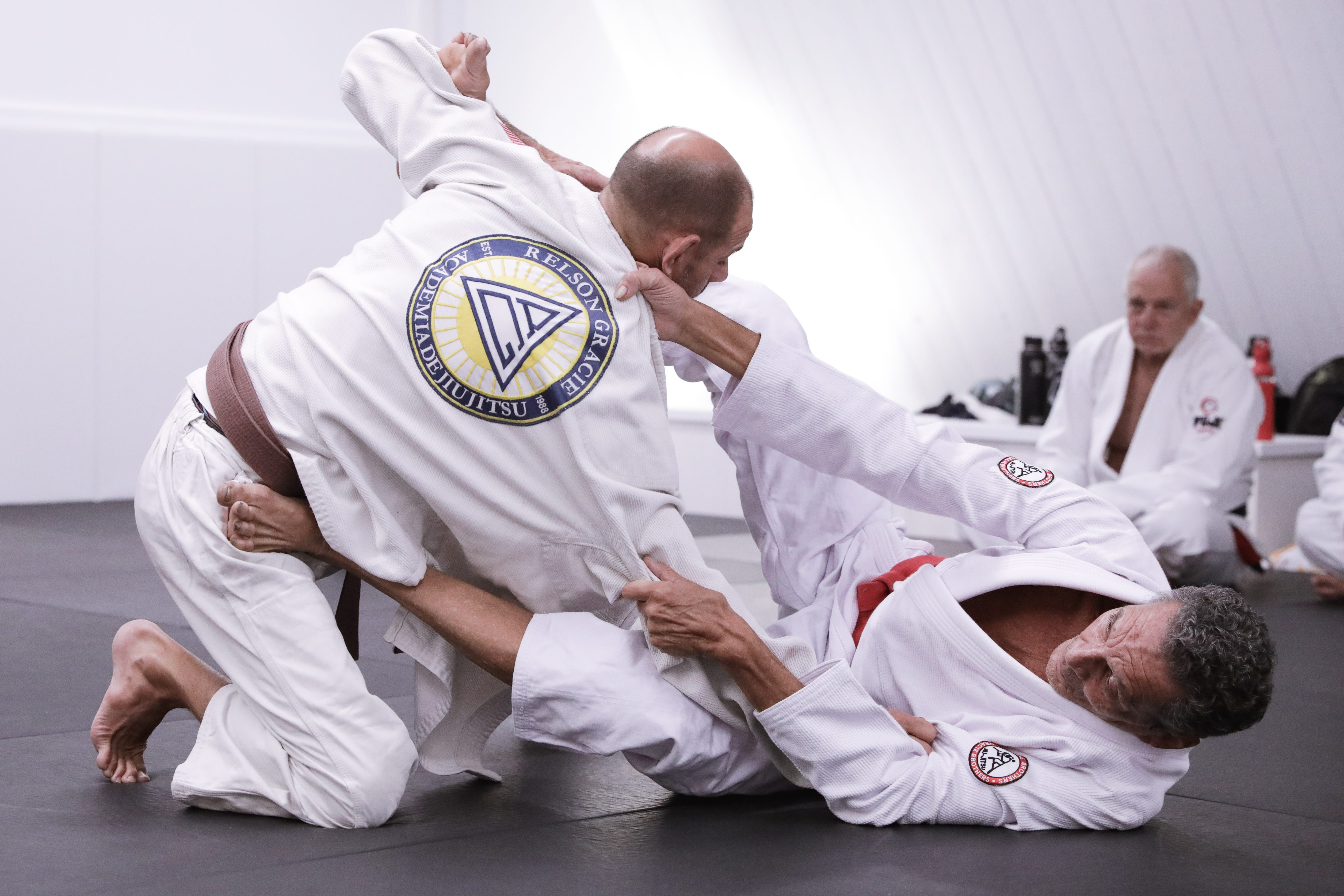 Relson Gracie Collar and Sleeve Guard
